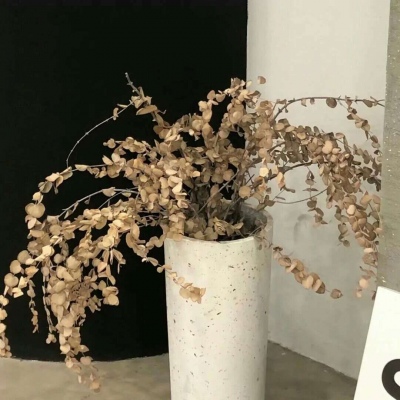 兽设森林场景设计福瑞交流群